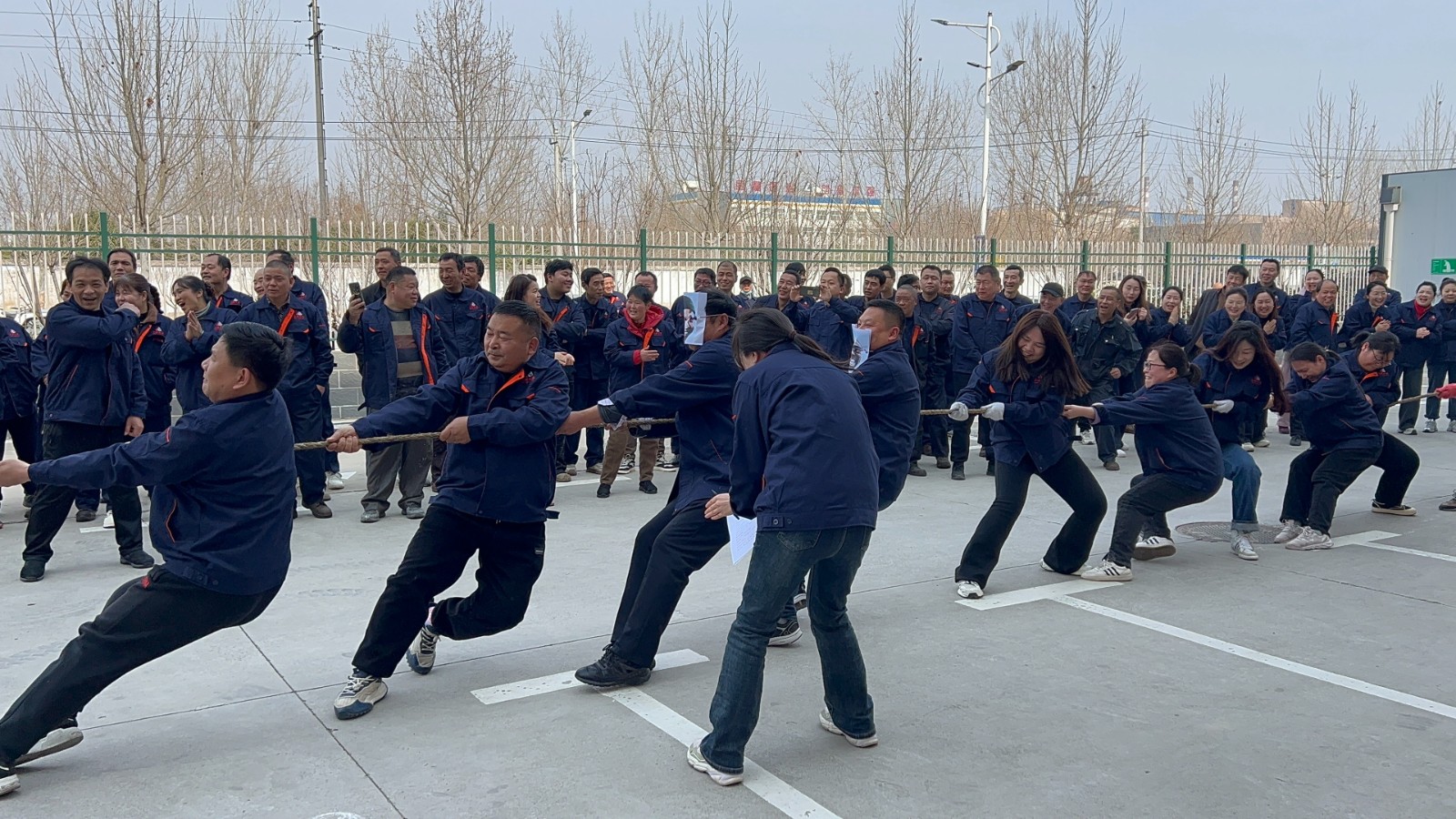 巾幗綻芳華，共慶三八節